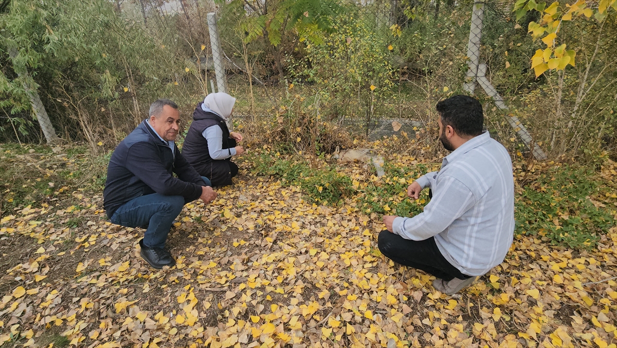 A A 20251120 39762076 39762074 A M A S Y A D A Y A R A L I H A L D E O K U L B A H C E S I N E S I G I N A N T I L K I K O R U M A A L T I N A A L I N D I