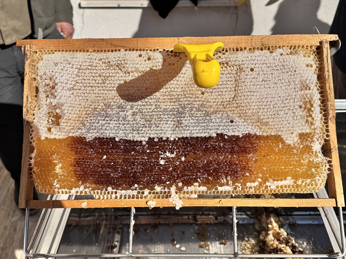 A A 20251121 39770254 39770249 S I I R T T E 114 P R O J E Y E 268 M I L Y O N 765 B I N L I R A H I B E S A G L A N D I 110 A R I C I L I K P R O J E S I D E S T E K L E N D I