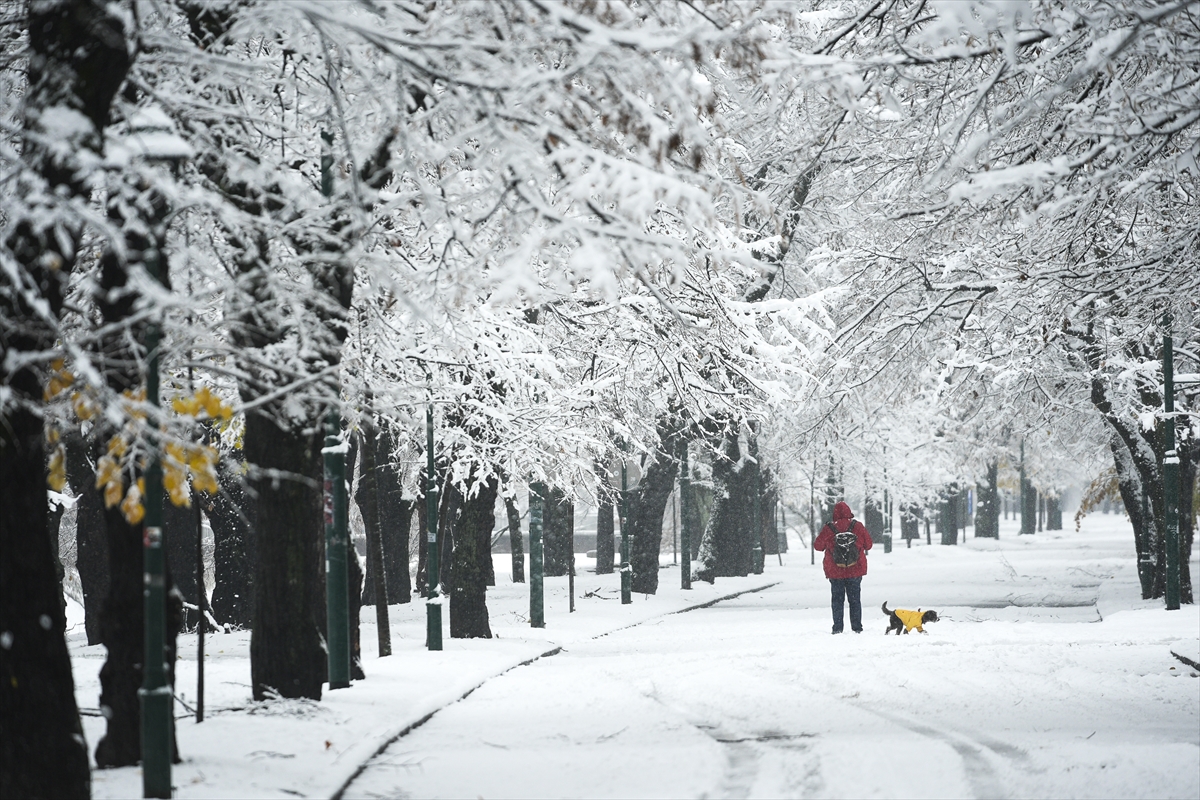 A A 20251122 39777094 39777048 B O S N A H E R S E K I N B A S K E N T I S A R A Y B O S N A K A R Y A G I S I Y L A B E Y A Z A B U R U N D U