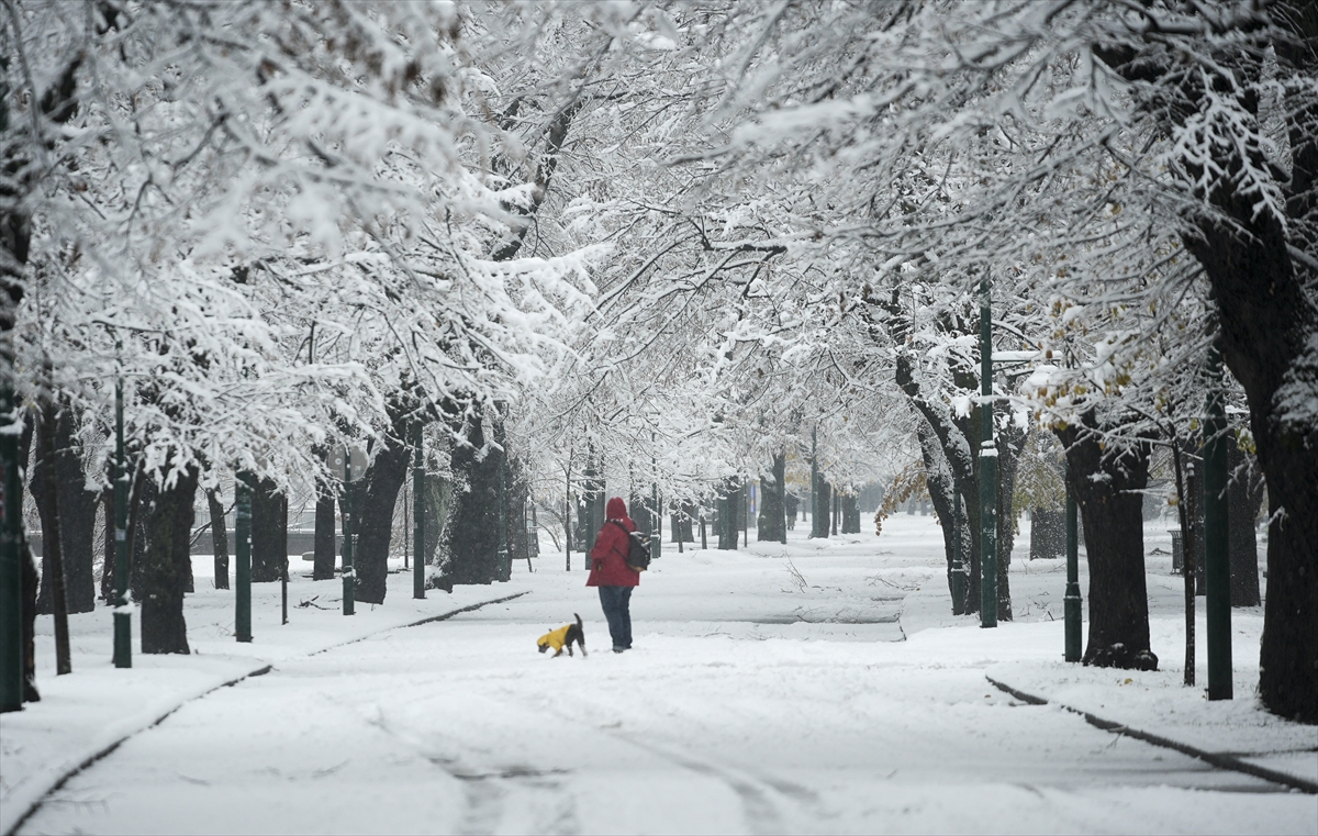 A A 20251122 39777094 39777068 B O S N A H E R S E K I N B A S K E N T I S A R A Y B O S N A K A R Y A G I S I Y L A B E Y A Z A B U R U N D U