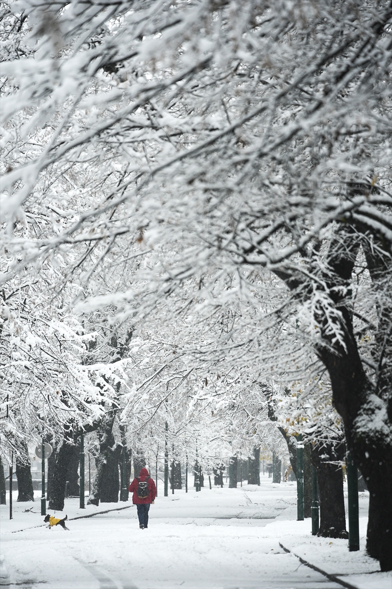 A A 20251122 39777094 39777088 B O S N A H E R S E K I N B A S K E N T I S A R A Y B O S N A K A R Y A G I S I Y L A B E Y A Z A B U R U N D U