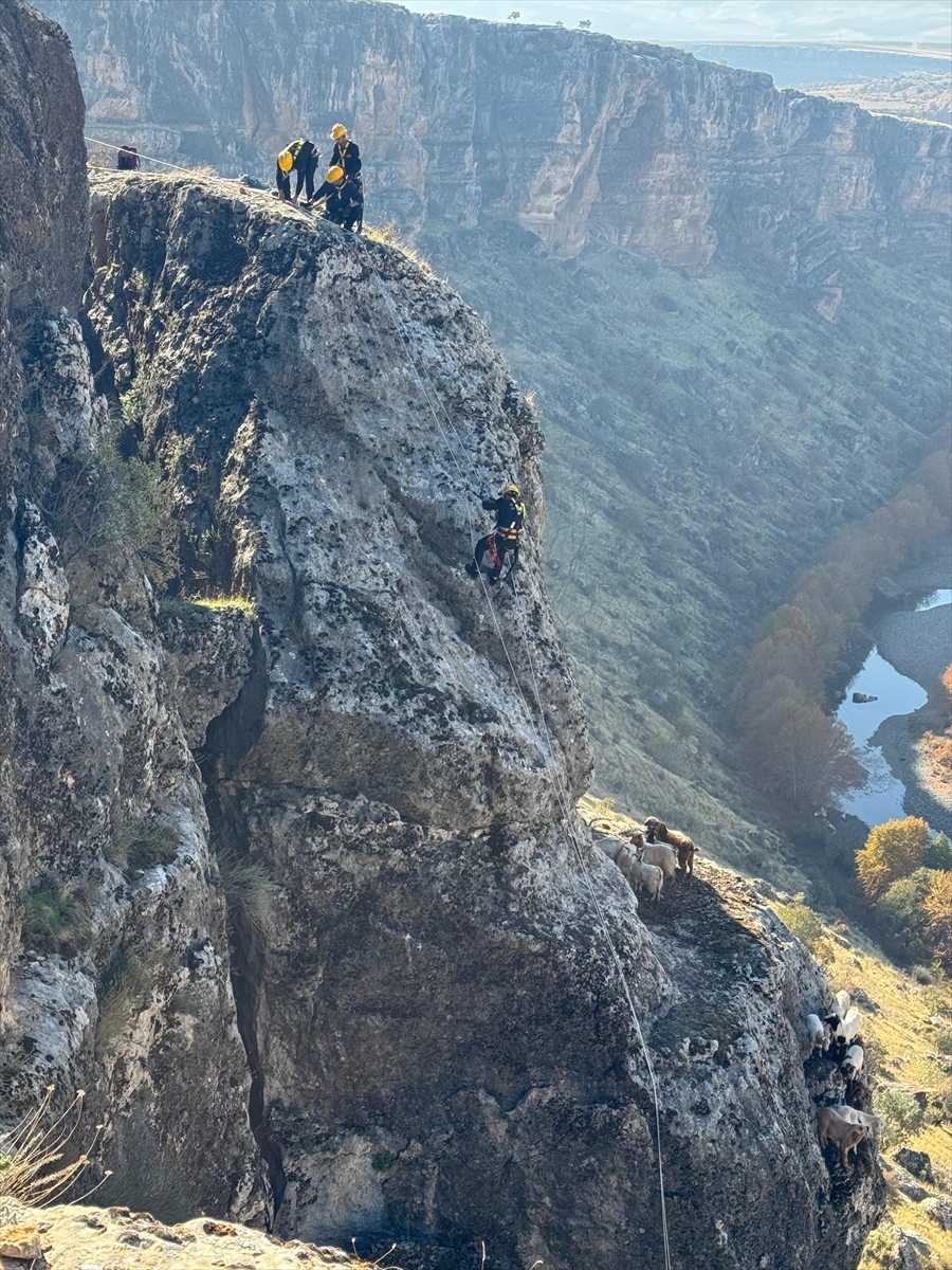 A A 20251124 39796044 39796040 D I Y A R B A K I R D A K A Y A L I K L A R D A M A H S U R K A L A N 25 K E C I K U R T A R I L D I