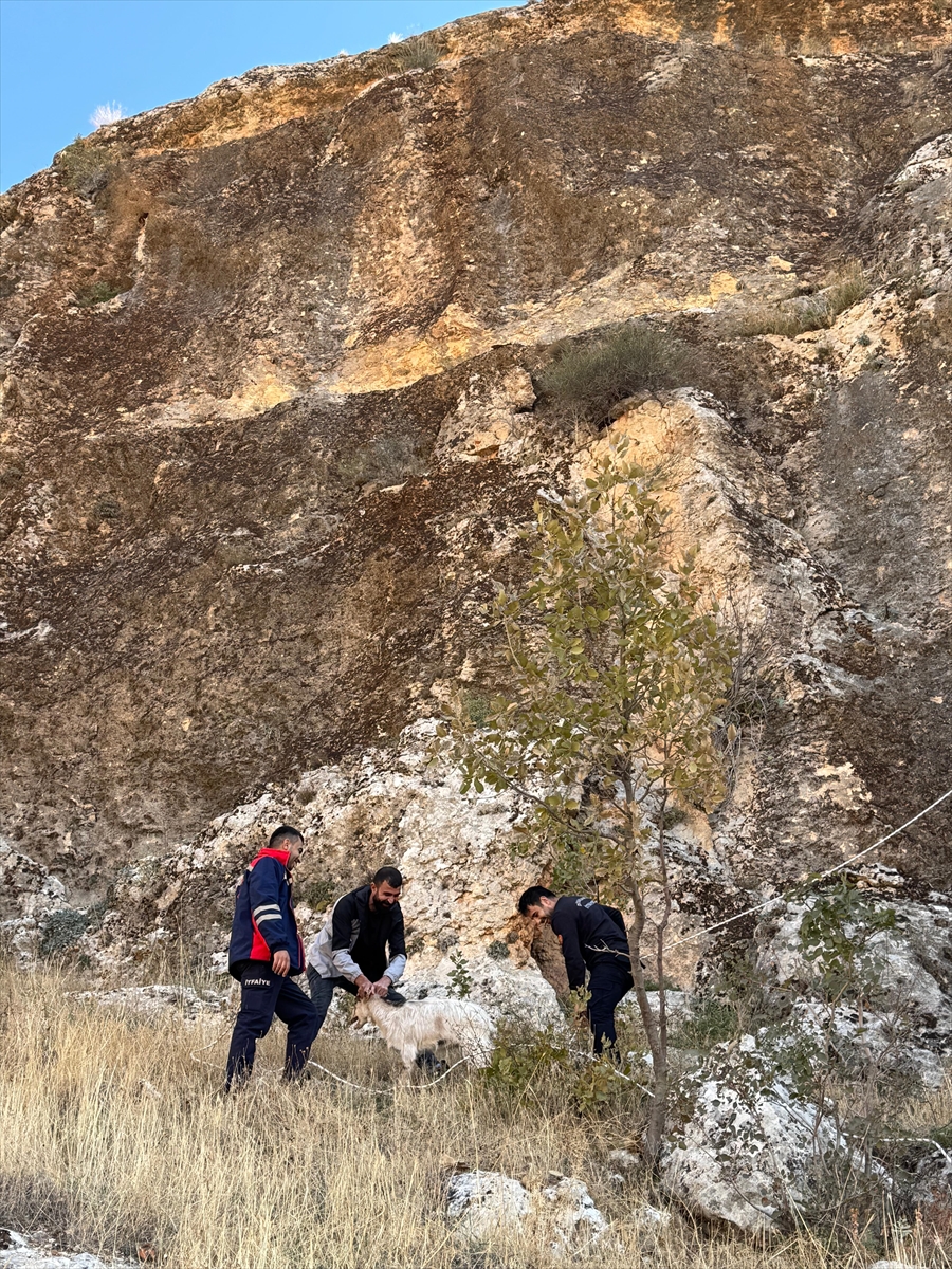 A A 20251124 39796044 39796041 D I Y A R B A K I R D A K A Y A L I K L A R D A M A H S U R K A L A N 25 K E C I K U R T A R I L D I