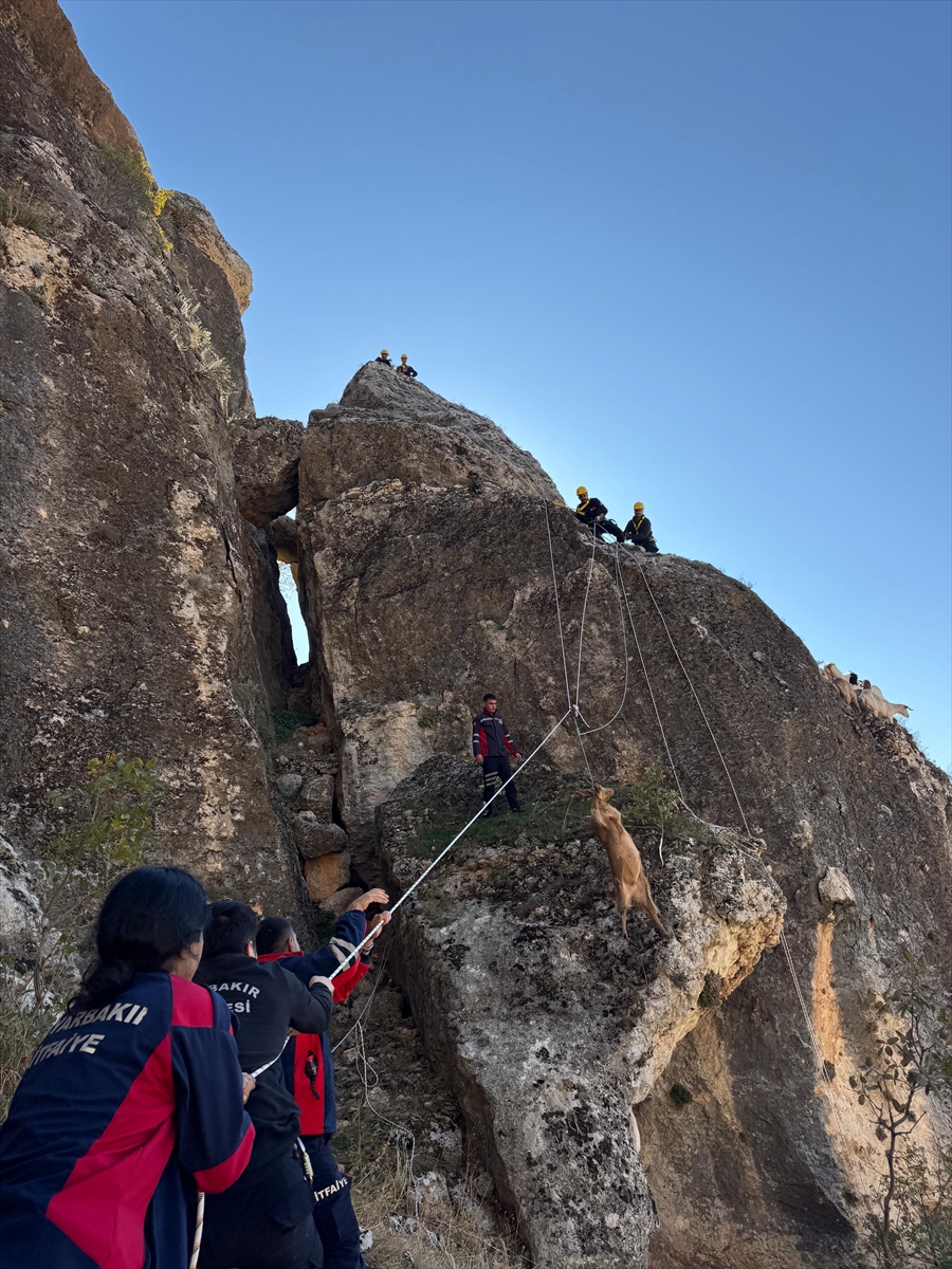 A A 20251124 39796044 39796042 D I Y A R B A K I R D A K A Y A L I K L A R D A M A H S U R K A L A N 25 K E C I K U R T A R I L D I