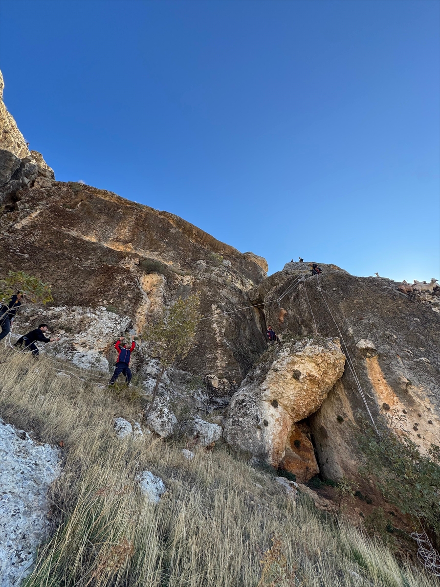 A A 20251124 39796044 39796043 D I Y A R B A K I R D A K A Y A L I K L A R D A M A H S U R K A L A N 25 K E C I K U R T A R I L D I