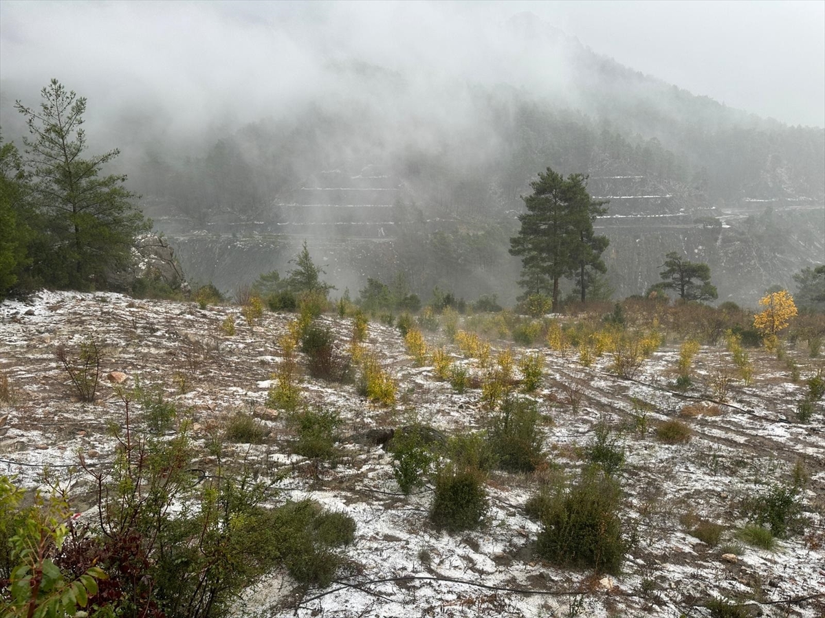 A A 20251129 39844582 39844576 A N T A L Y A D A S A G A N A K V E D O L U E T K I L I O L U Y O R