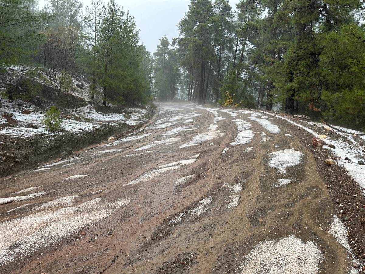 A A 20251129 39844582 39844577 A N T A L Y A D A S A G A N A K V E D O L U E T K I L I O L U Y O R