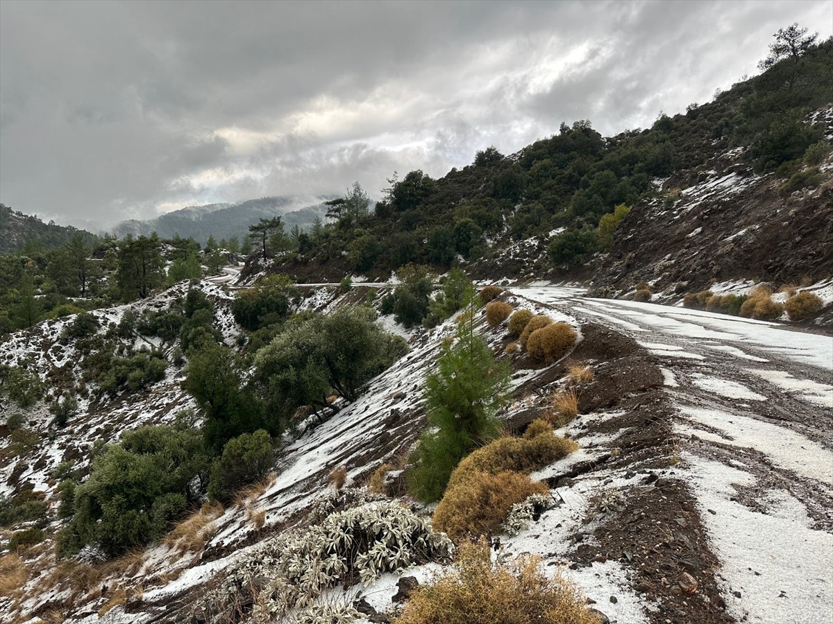 A A 20251129 39844582 39844579 A N T A L Y A D A S A G A N A K V E D O L U E T K I L I O L U Y O R