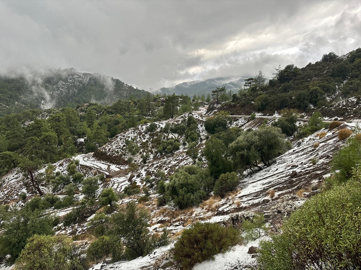 A A 20251129 39844582 39844580 A N T A L Y A D A S A G A N A K V E D O L U E T K I L I O L U Y O R