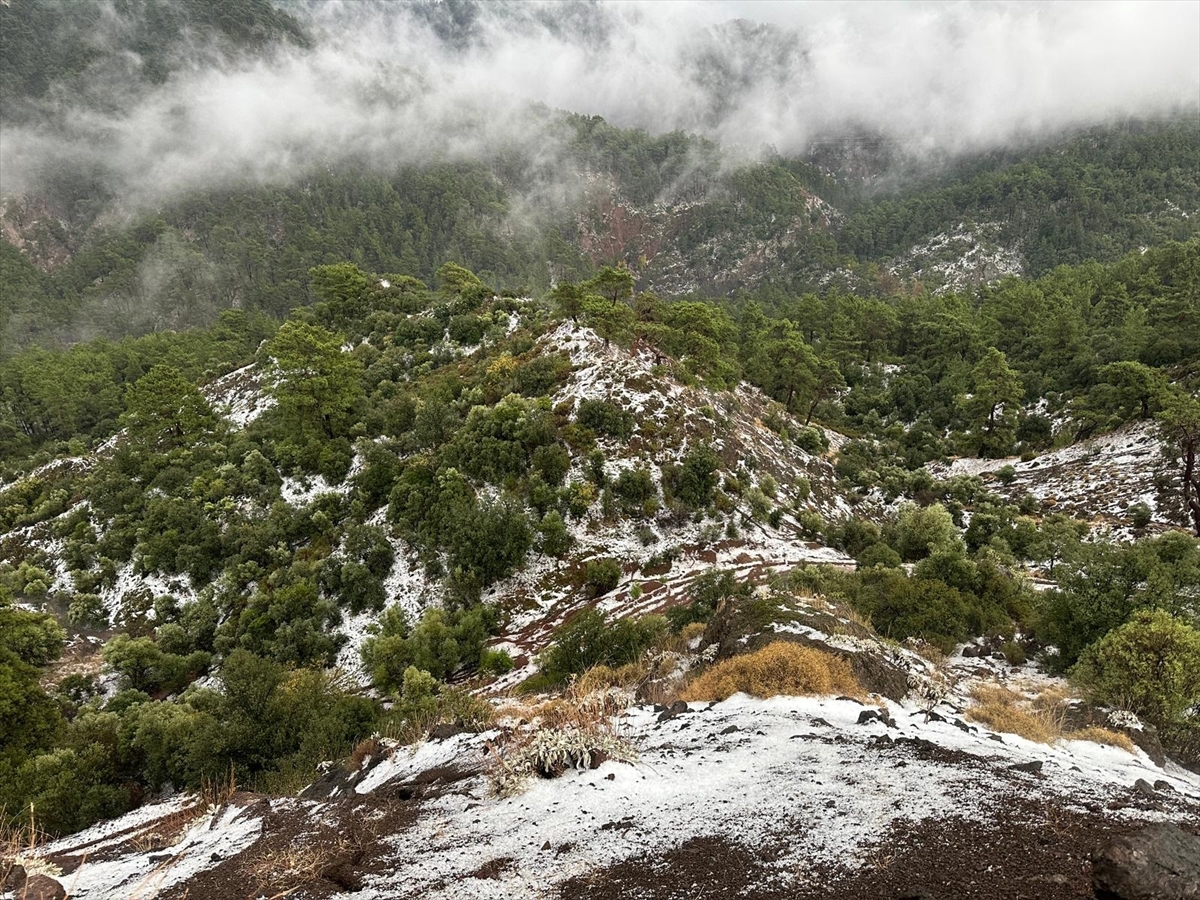 A A 20251129 39844582 39844581 A N T A L Y A D A S A G A N A K V E D O L U E T K I L I O L U Y O R