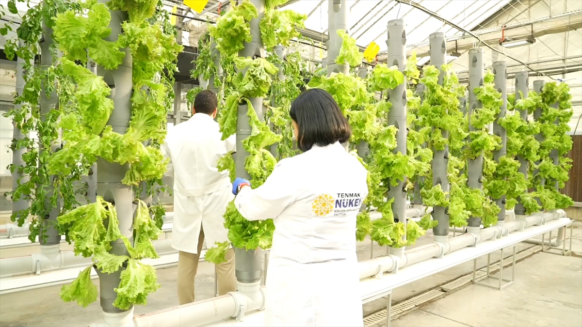 A A 20251130 39850361 39850358 T E N M A K Y I Y E C E K L E R I N R A F O M R U N U U Z A T A N G I D A T E K N O L O J I S I G E L I S T I R I Y O R