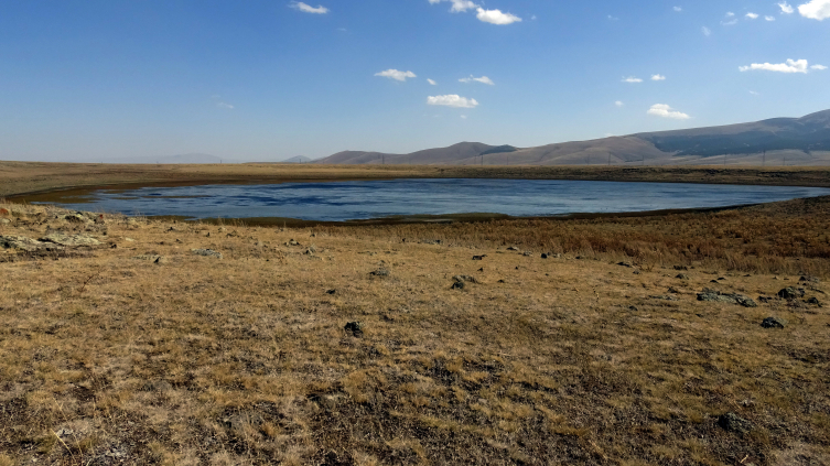 Aa Picture 20251101 39583559