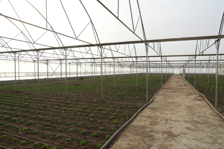 Aa Picture 20251114 39704108