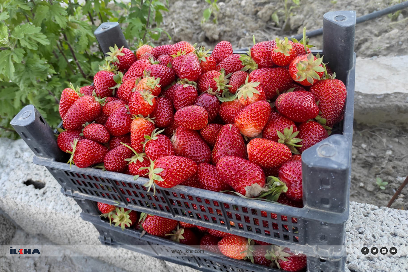 Caa7Bb5F 0D26 4108 9687 F6Fbef571D35