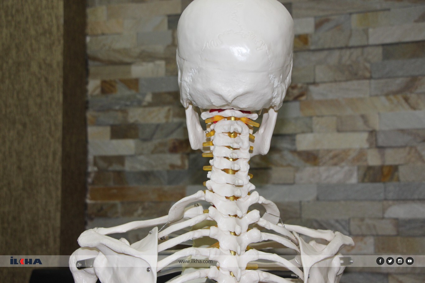 E9E85529 9254 4D7A Bf79 8Ba64Bbfae47