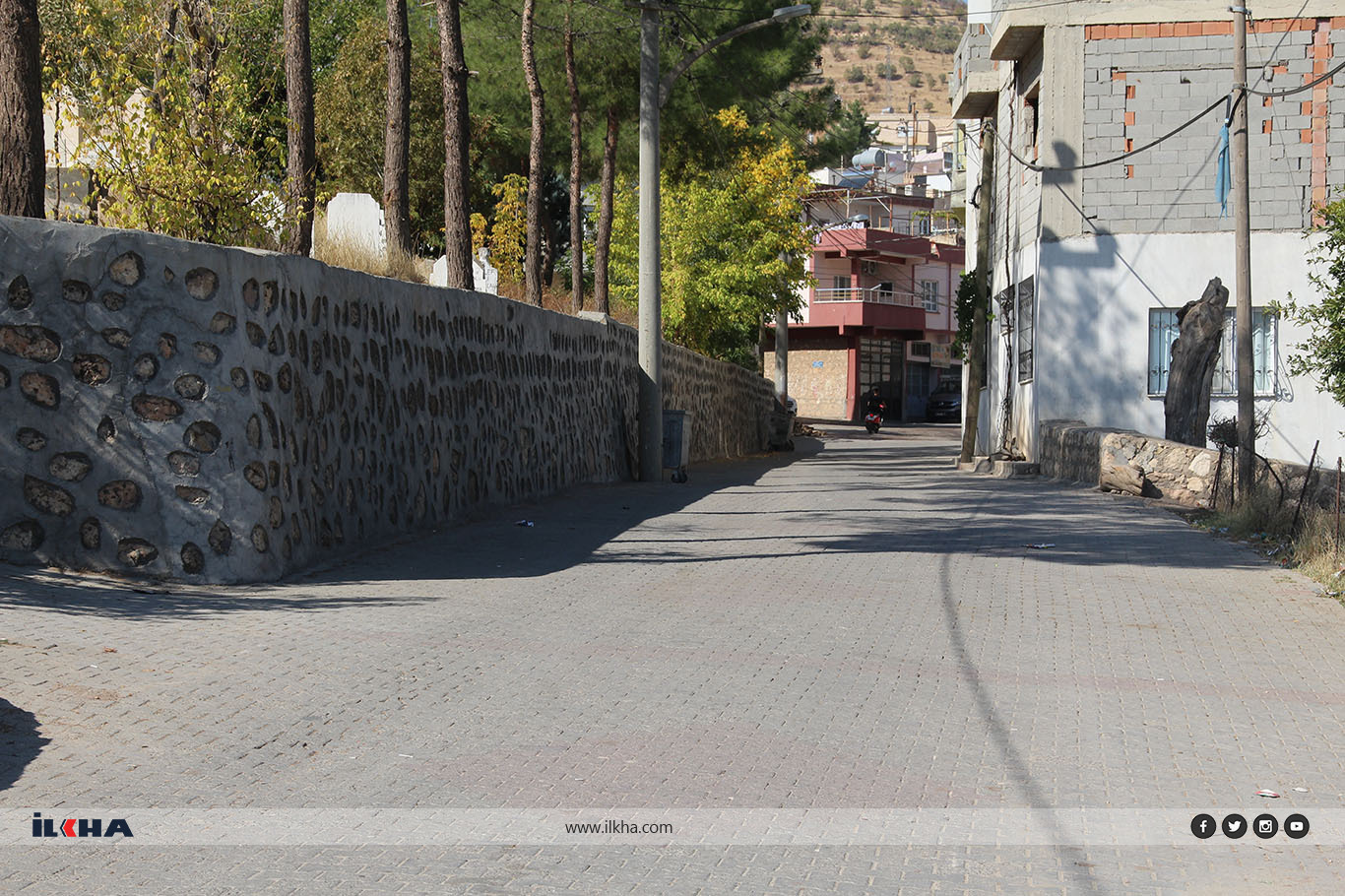 Edeba1B3 2487 45Bf A189 0Ebc9210873C