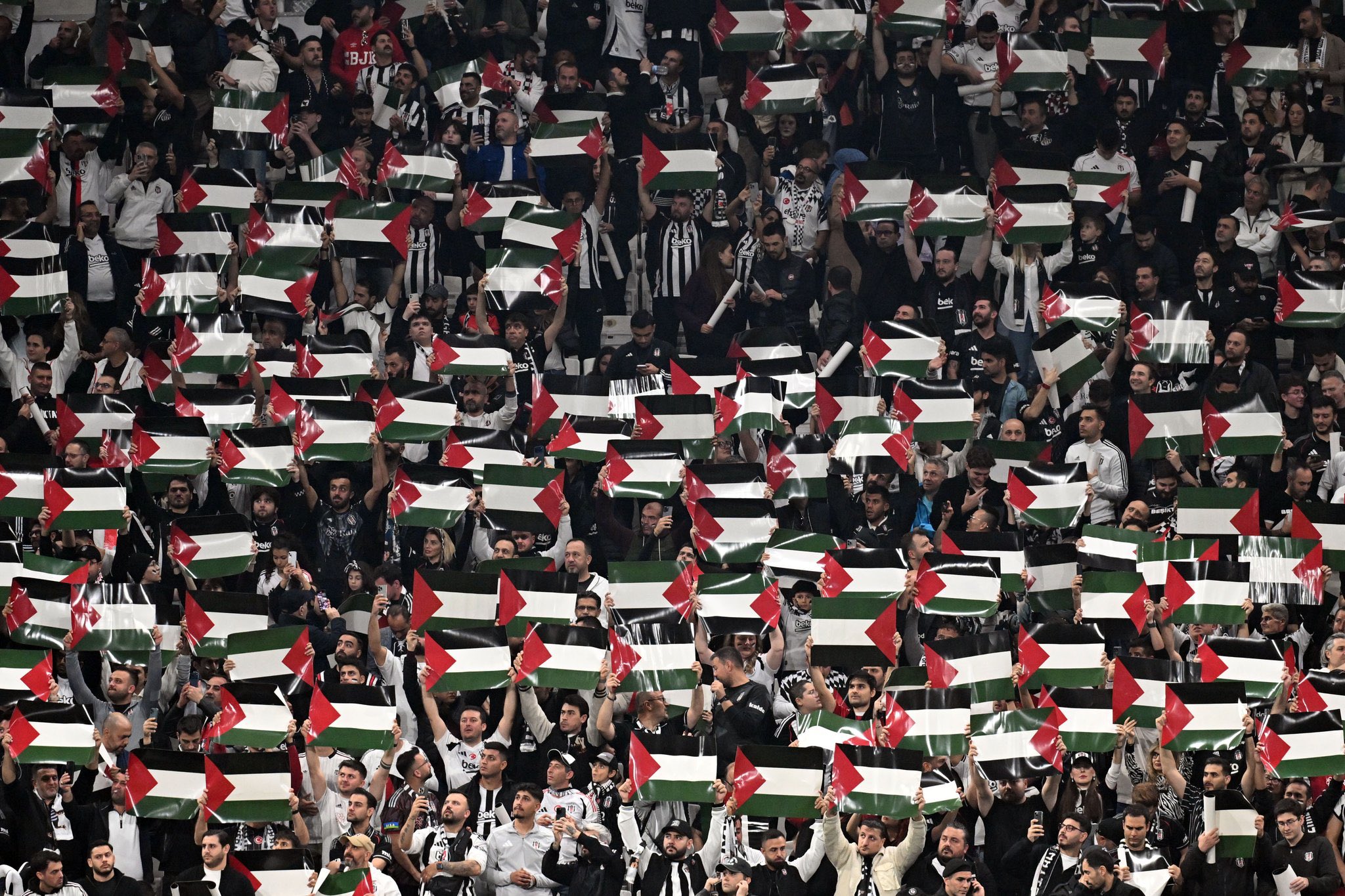 G4X H F8 W8 A A Y Vq T