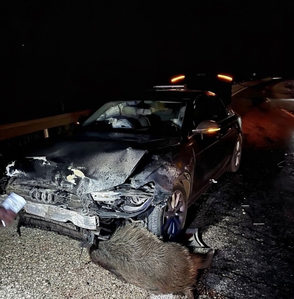 G6 Iy Tq U W M A Al5 V X