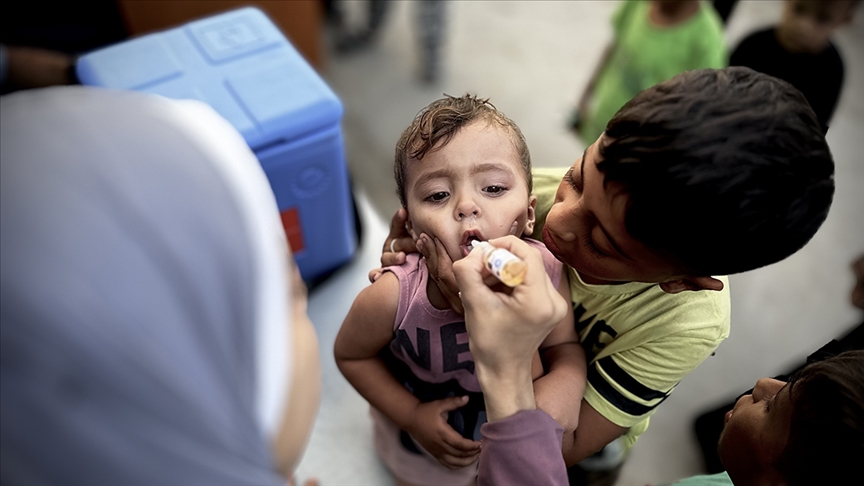 Thumbs B C 3Ce1D222F0E50D6Bcef25Dc09Ae3947A