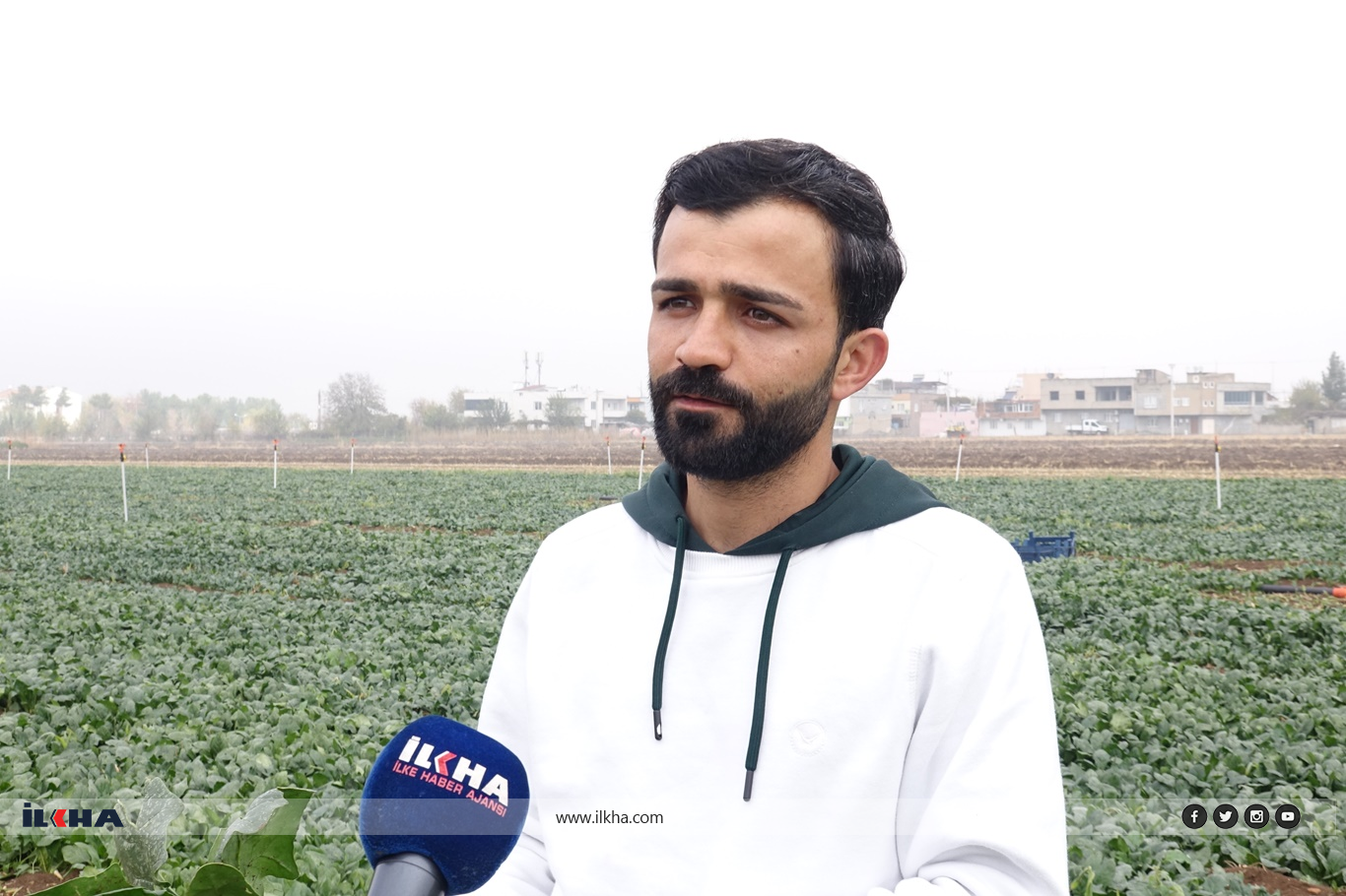 Ürünlerimiz Tarladı