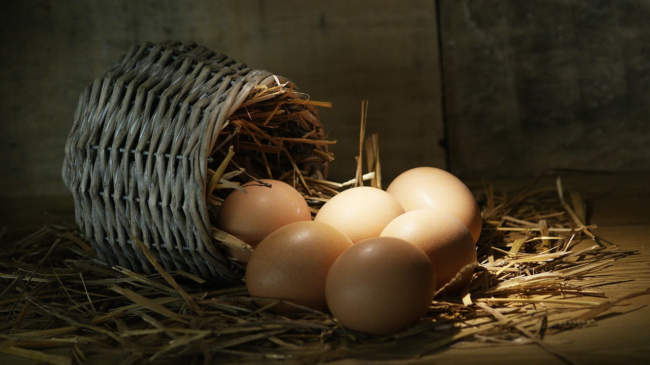 Yumurta Yıkanır Mıyumurta Yıkanır Mıyumurta Yıkanır Mıyumurta Yıkanır Mıyumurta Yıkanır Mı
