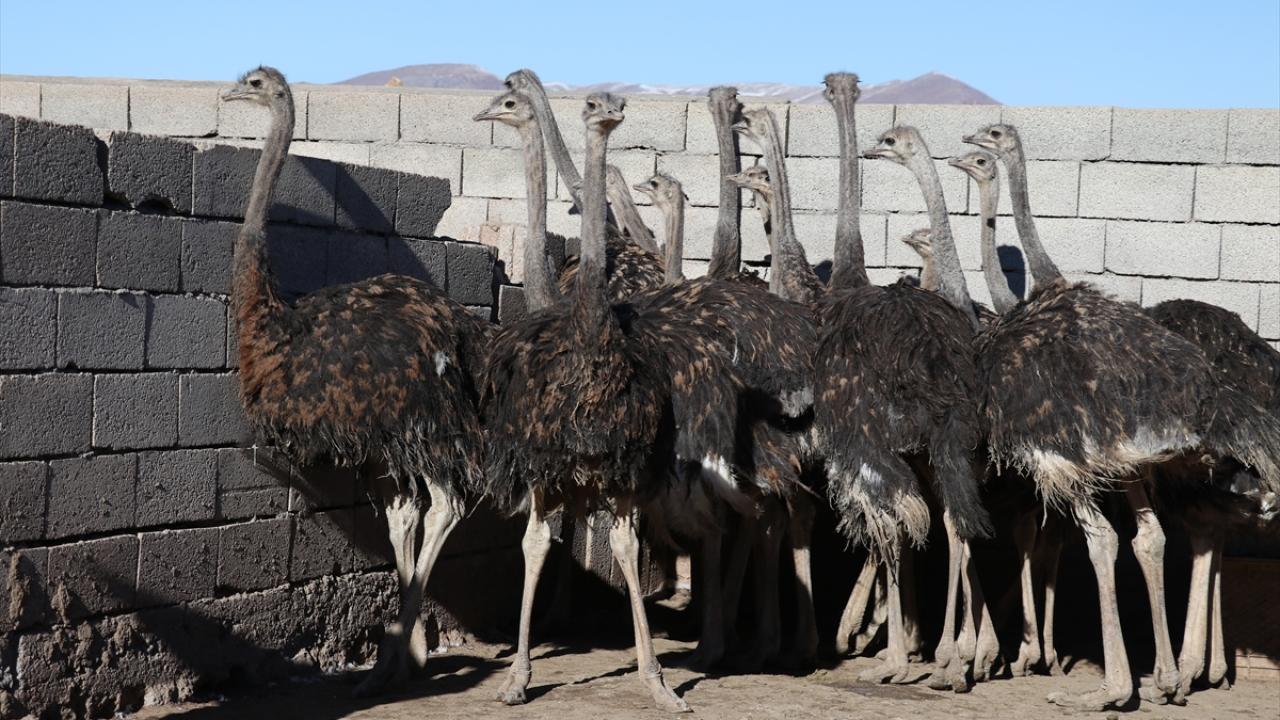 00000000000011111111111122222220-135