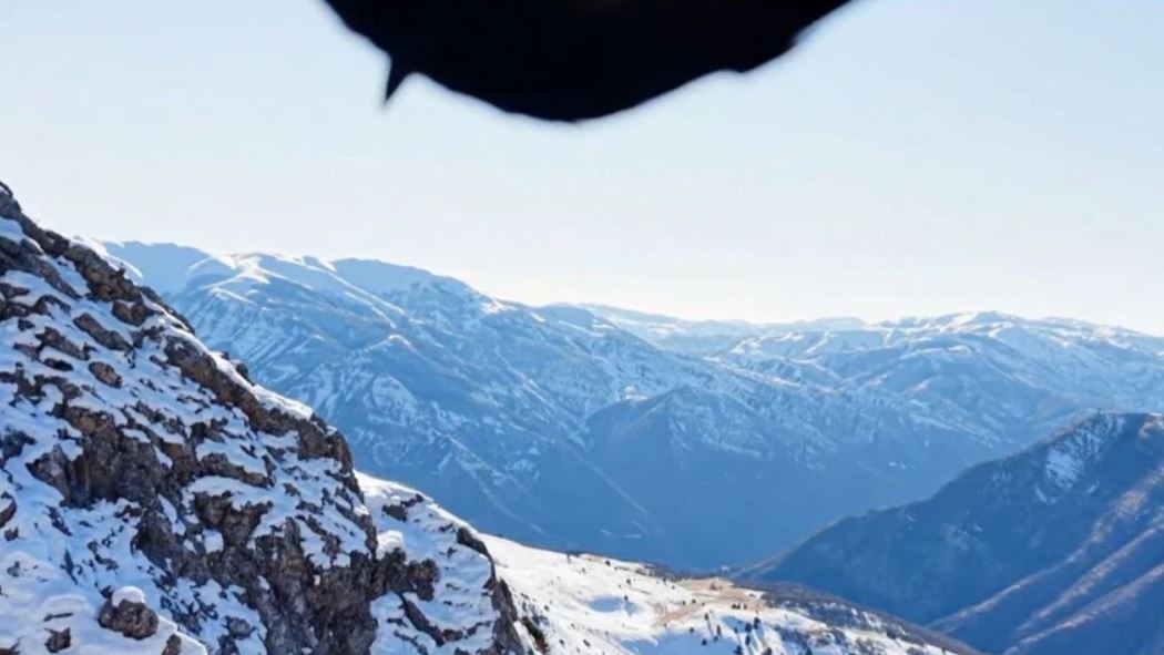 Avladığı drone ile selfie çeken dev kartal, sosyal medyayı salladı