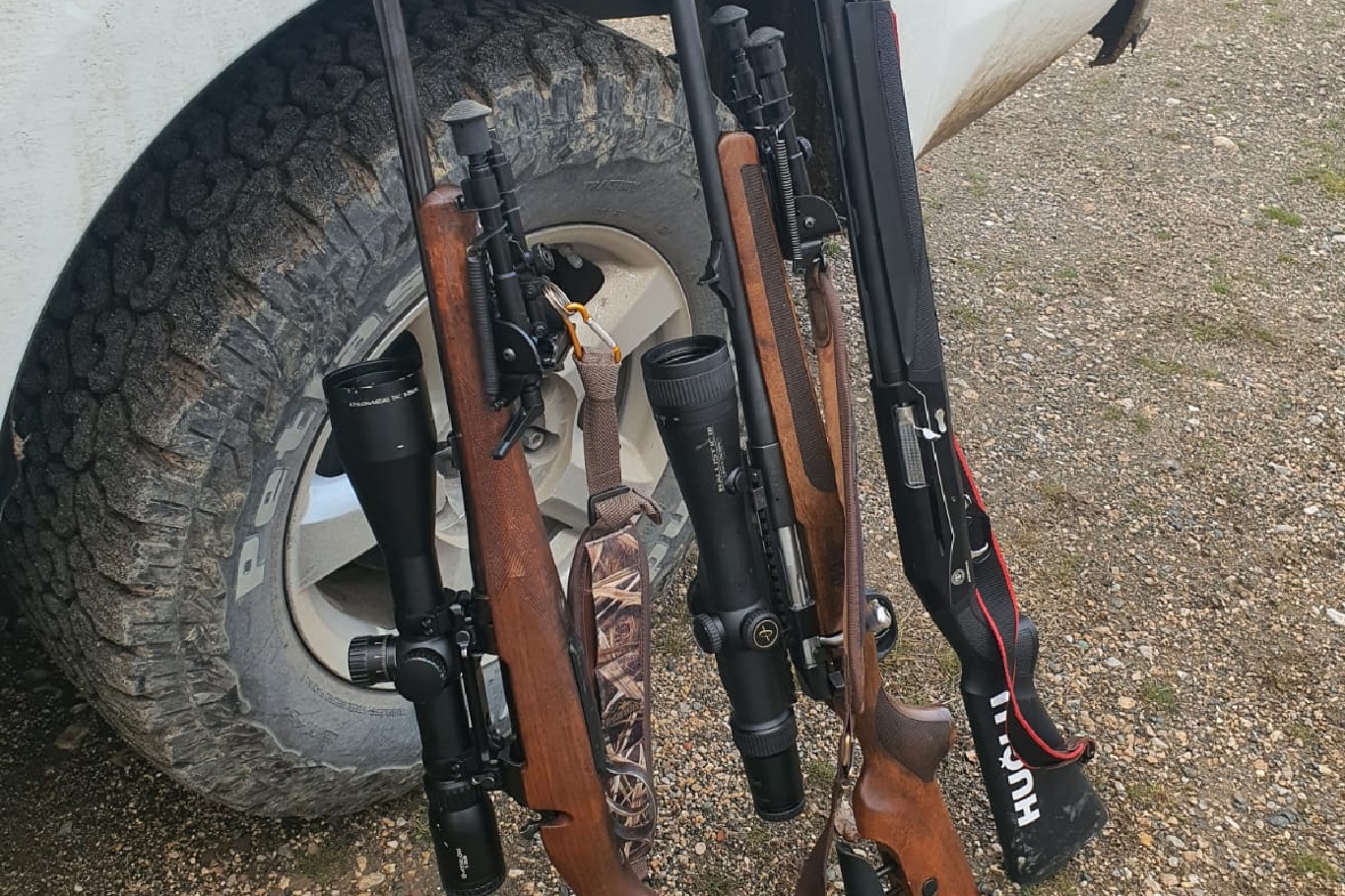 437E78Ba Bd9A 43Dd Bcb6 Dff63702Ea6A