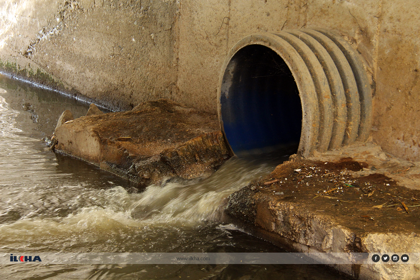 8264E133 C97A 4E31 9913 907A28E8A8F5