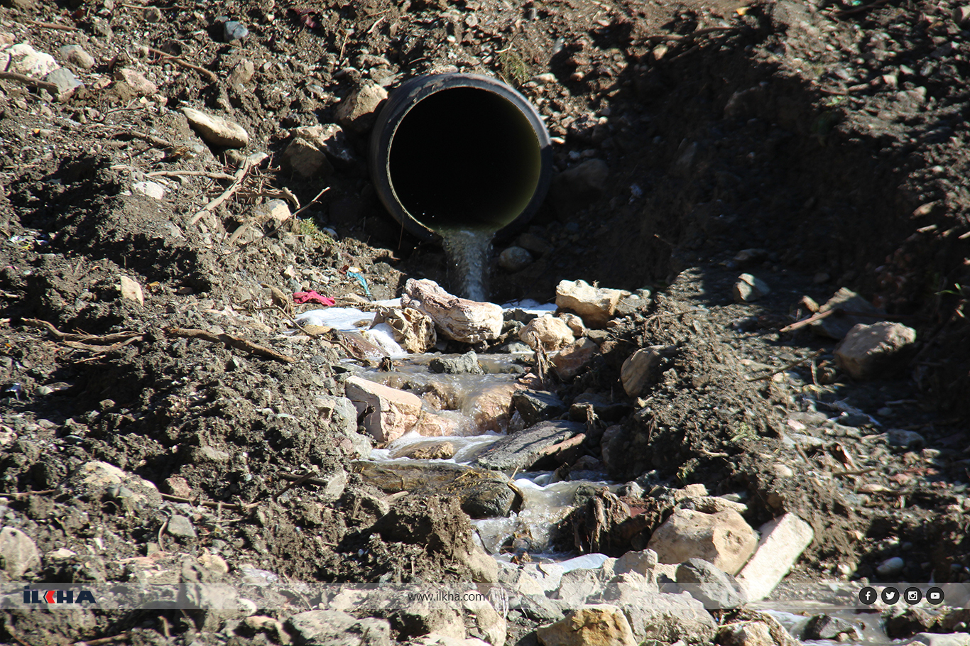 8B070D43 772E 41C0 9730 1010F7Db4Ca5