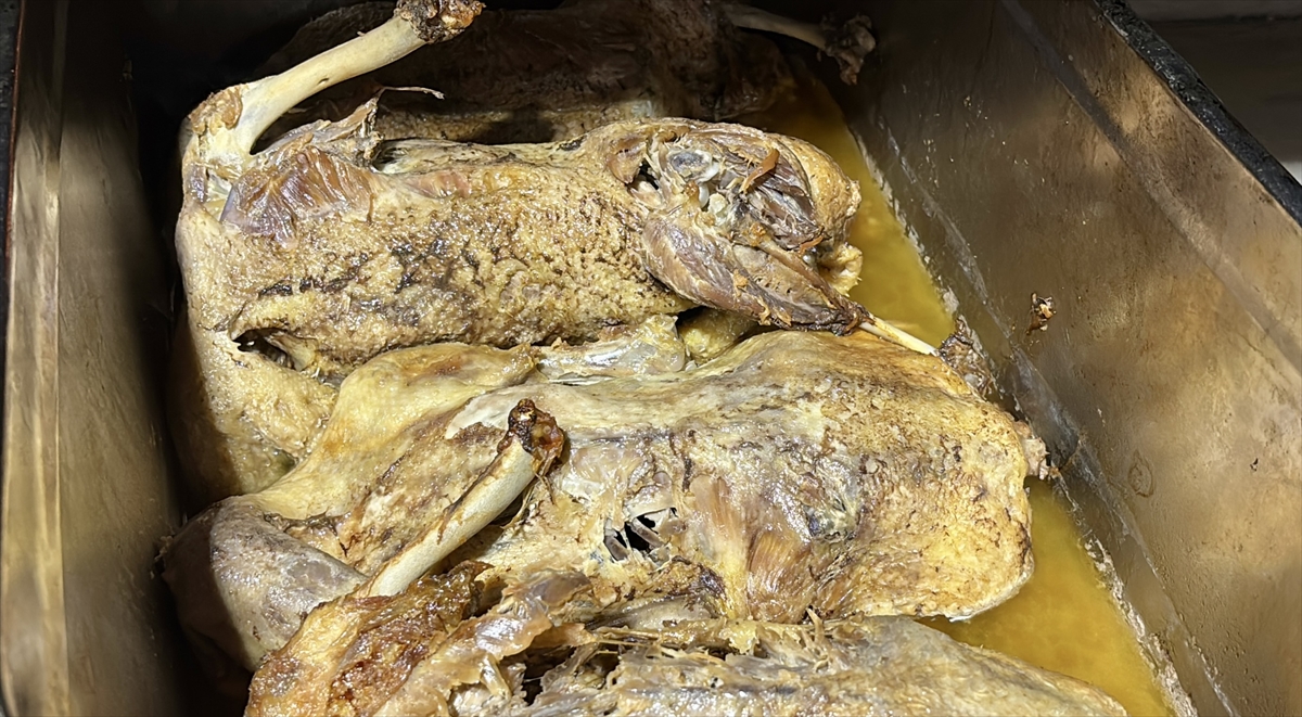 A A 20251201 39856635 39856632 T E S C I L L I L E Z Z E T K A Z T I R I D I N D E S E Z O N B A S L A D I