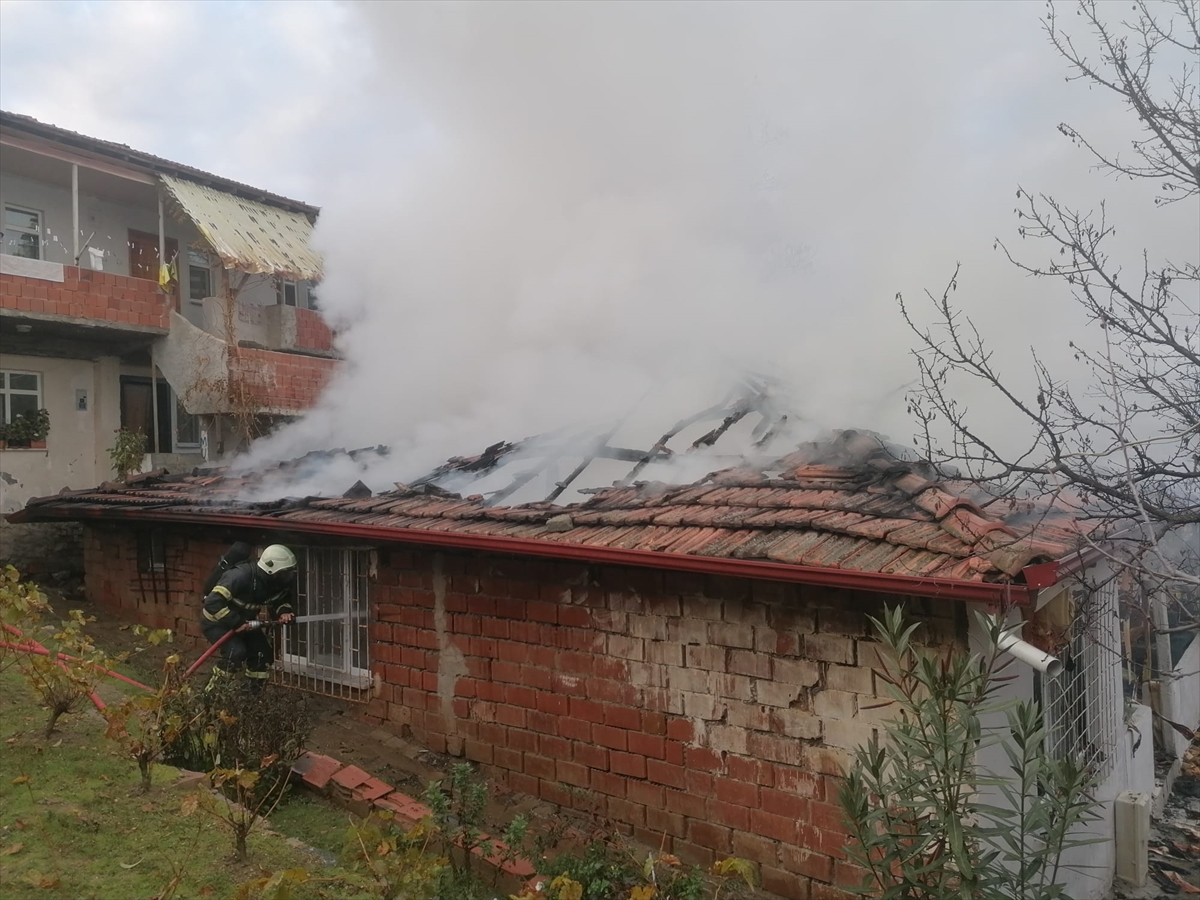 A A 20251202 39873657 39873653 T O K A T T A T E K K A T L I E V Y A N G I N D A K U L L A N I L A M A Z H A L E G E L D I