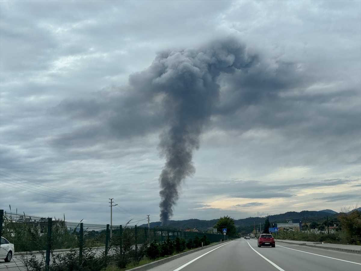 A A 20251203 39881912 39881904 F E T H I Y E D E K A M P A L A N I N D A C I K A N Y A N G I N A M U D A H A L E E D I L I Y O R