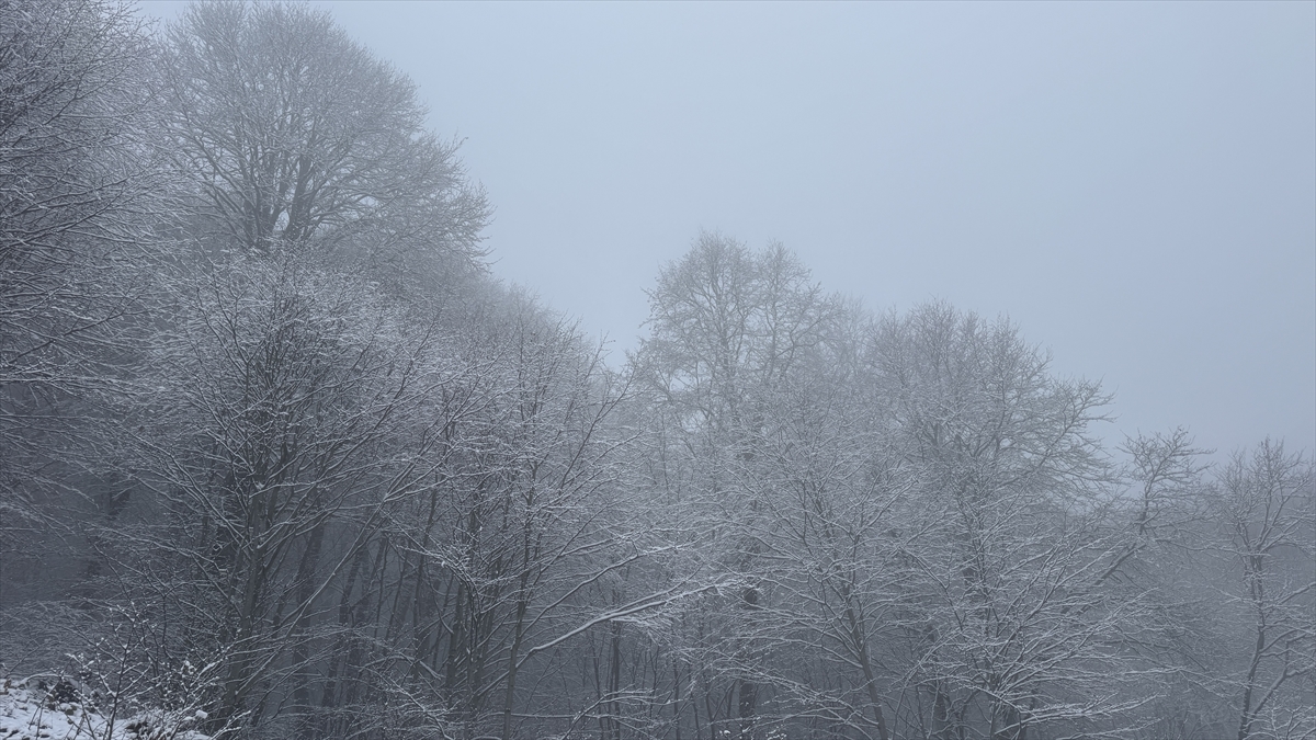 A A 20251213 39971072 39971069 T O K A T I N Y U K S E K K E S I M L E R I B E Y A Z A B U R U N D U