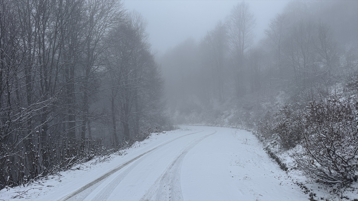 A A 20251213 39971072 39971070 T O K A T I N Y U K S E K K E S I M L E R I B E Y A Z A B U R U N D U