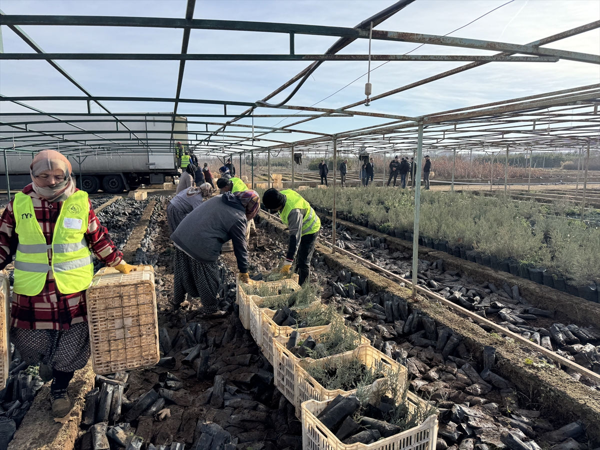 A A 20251219 40025843 40025839 M A L A T Y A D A N T U R K M E N I S T A N A 50 B I N F I D A N D E S T E G I