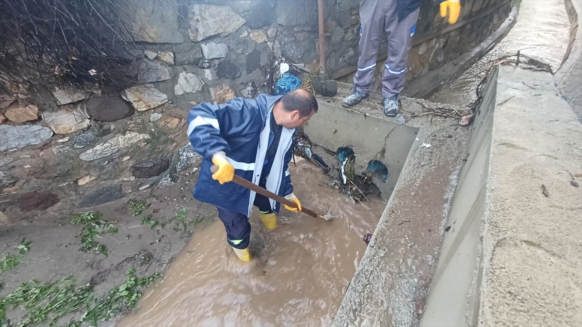 A A 20251225 40076135 40076133 B O D R U M D A K U V V E T L I S A G A N A K V E D O L U E T K I L I O L D U