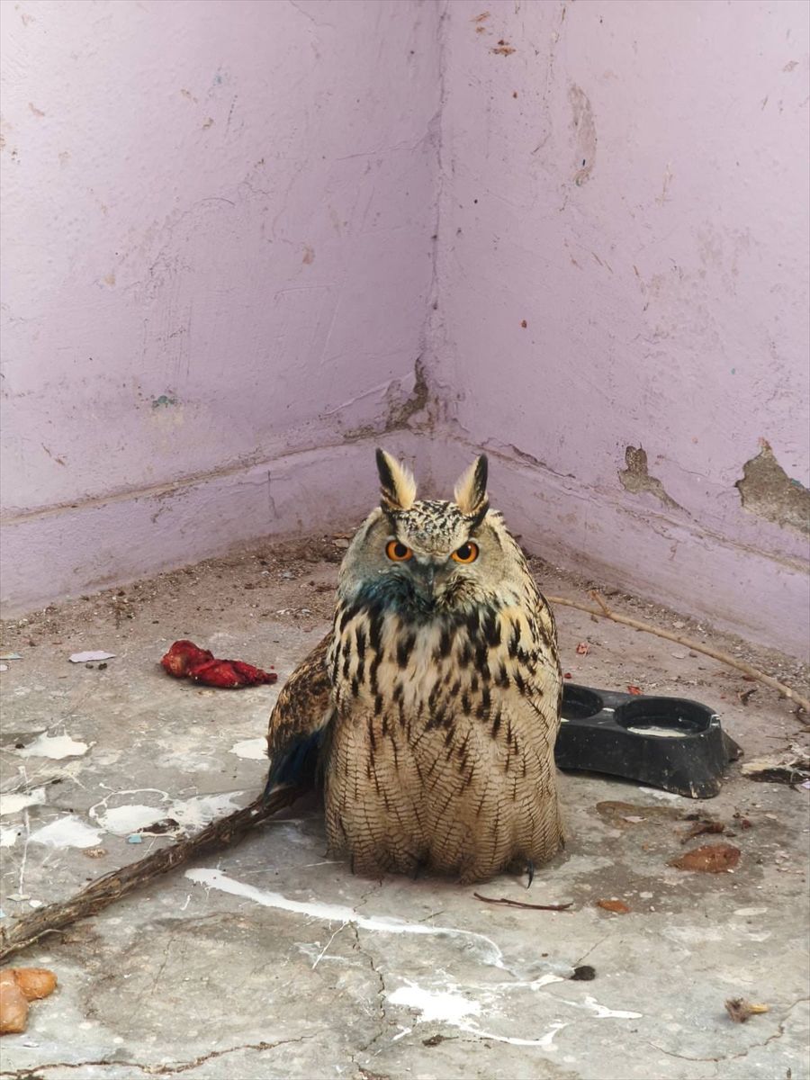 A A 20251226 40085776 40085775 H A K K A R I D E J A N D A R M A N I N B U L D U G U Y A R A L I P U H U T E D A V I Y E A L I N D I