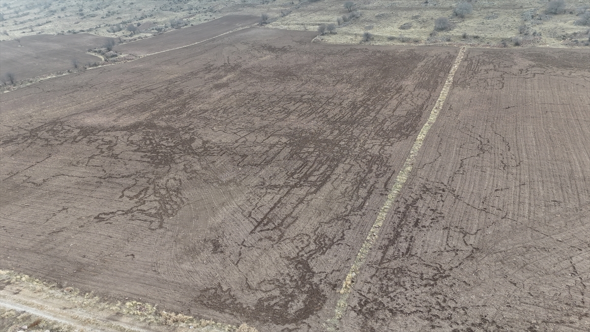 A A 20251228 40097229 40097225 K A R A M A N D A D O M U Z L A R A R P A V E B U G D A Y E K I L I T A R L A L A R A Z A R A R V E R D I