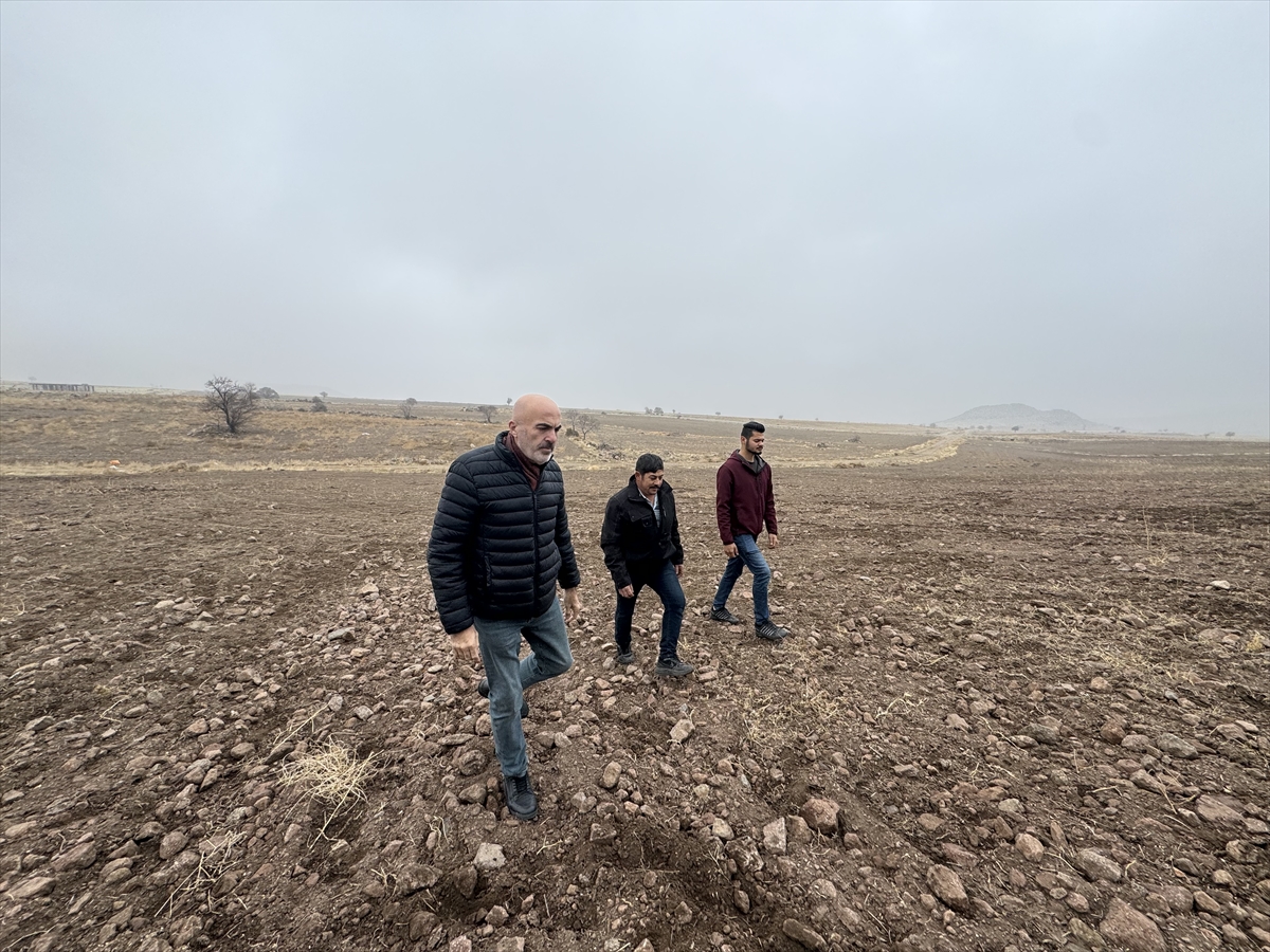 A A 20251228 40097229 40097226 K A R A M A N D A D O M U Z L A R A R P A V E B U G D A Y E K I L I T A R L A L A R A Z A R A R V E R D I