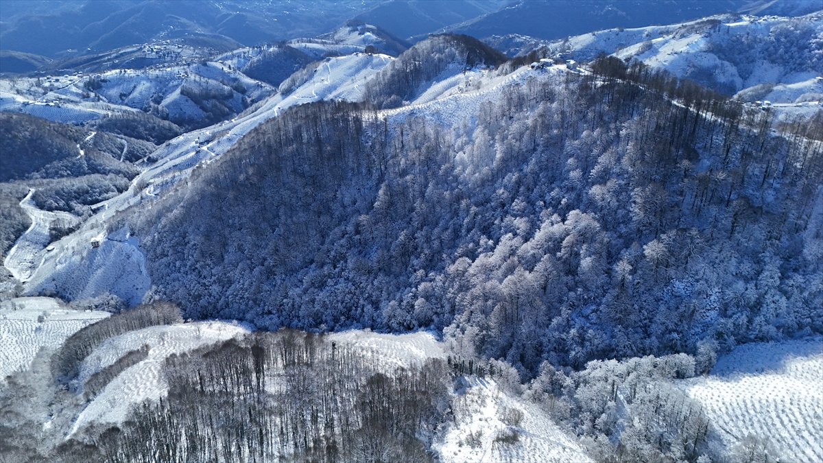 A A 20251228 40098233 40098230 K A R A D E N I Z I N Y U K S E K K E S I M L E R I N D E K A R V E S O G U K H A V A E T K I L I O L U Y O R