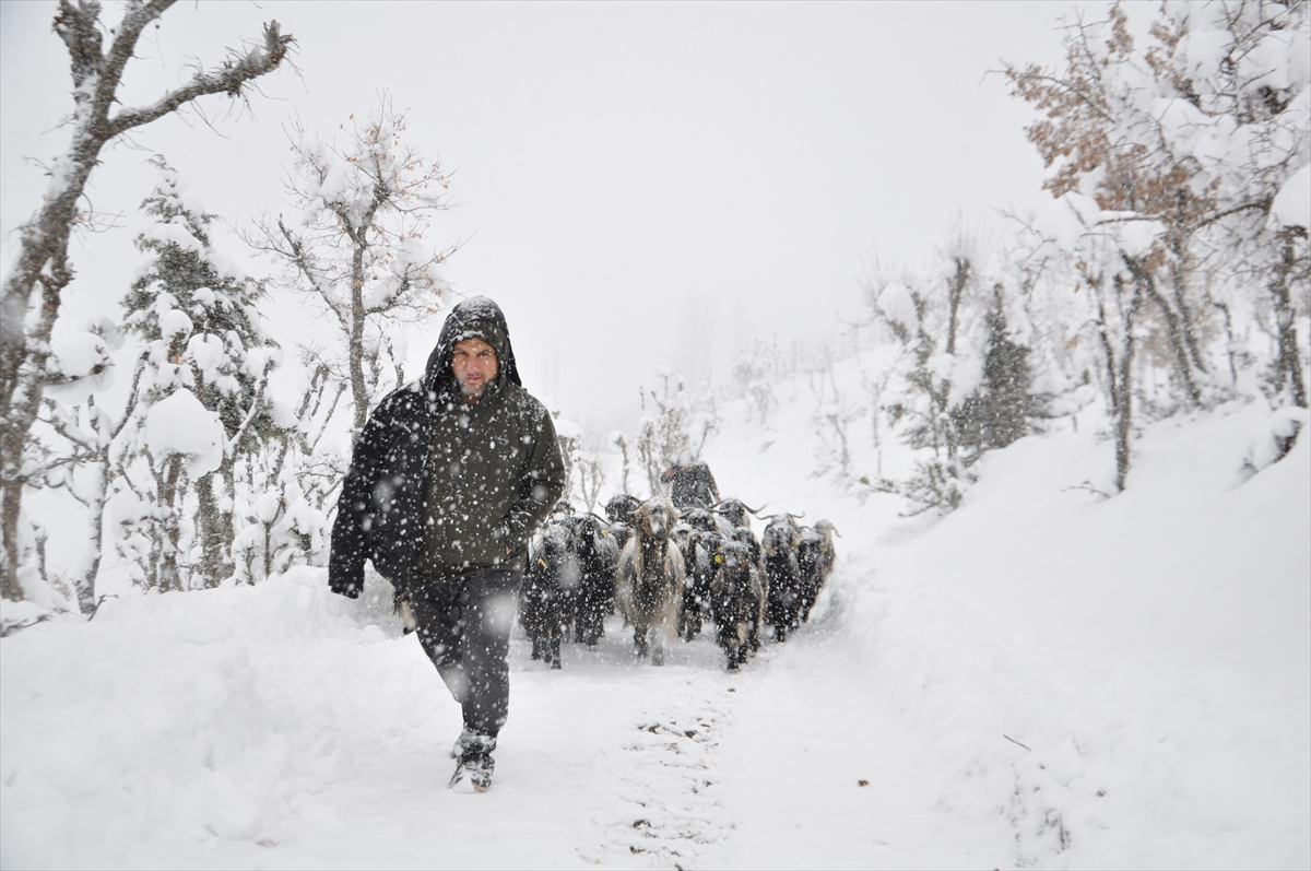 A A 20251229 40108520 40108515 B I T L I S T E K A R N E D E N I Y L E Y O L U K A P A N A N M E Z R A D A M A H S U R K A L A N B E S I C I L E R I N Y A R D I M I N A E K I P L E R Y E T I S T I