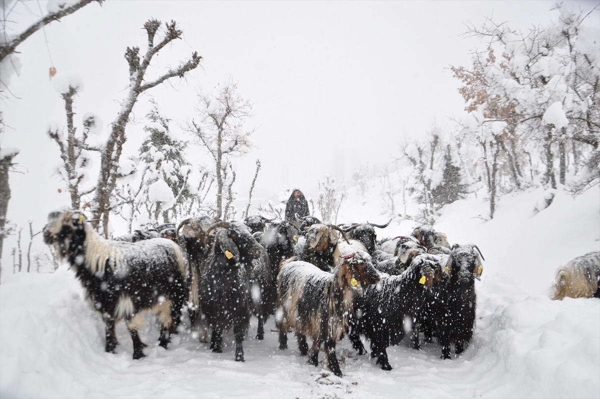 A A 20251229 40108520 40108517 B I T L I S T E K A R N E D E N I Y L E Y O L U K A P A N A N M E Z R A D A M A H S U R K A L A N B E S I C I L E R I N Y A R D I M I N A E K I P L E R Y E T I S T I