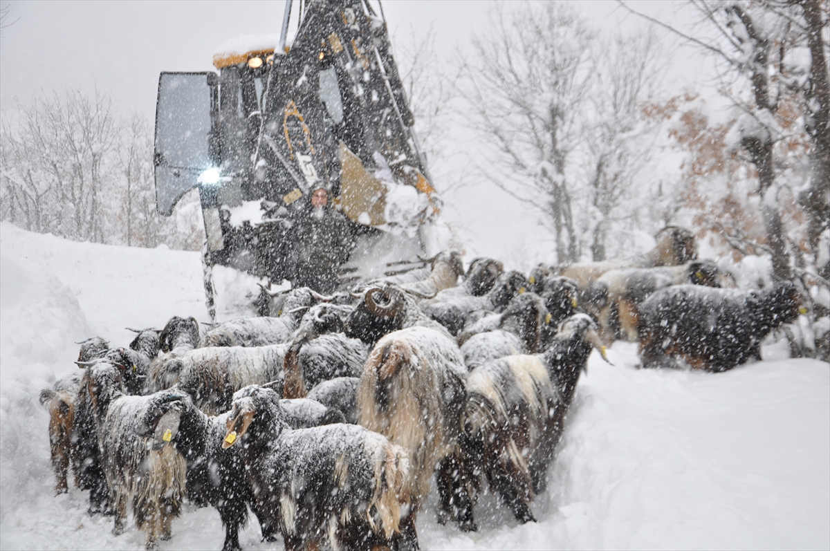 A A 20251229 40108520 40108518 B I T L I S T E K A R N E D E N I Y L E Y O L U K A P A N A N M E Z R A D A M A H S U R K A L A N B E S I C I L E R I N Y A R D I M I N A E K I P L E R Y E T I S T I