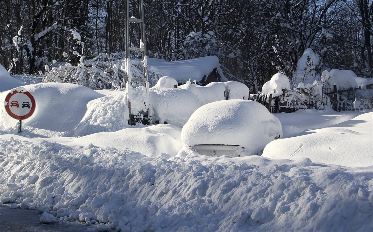 A A 20251231 40118816 40118812 S I N O P T A K A R K A L I N L I G I B A Z I B O L G E L E R D E B I R M E T R E Y E U L A S T I