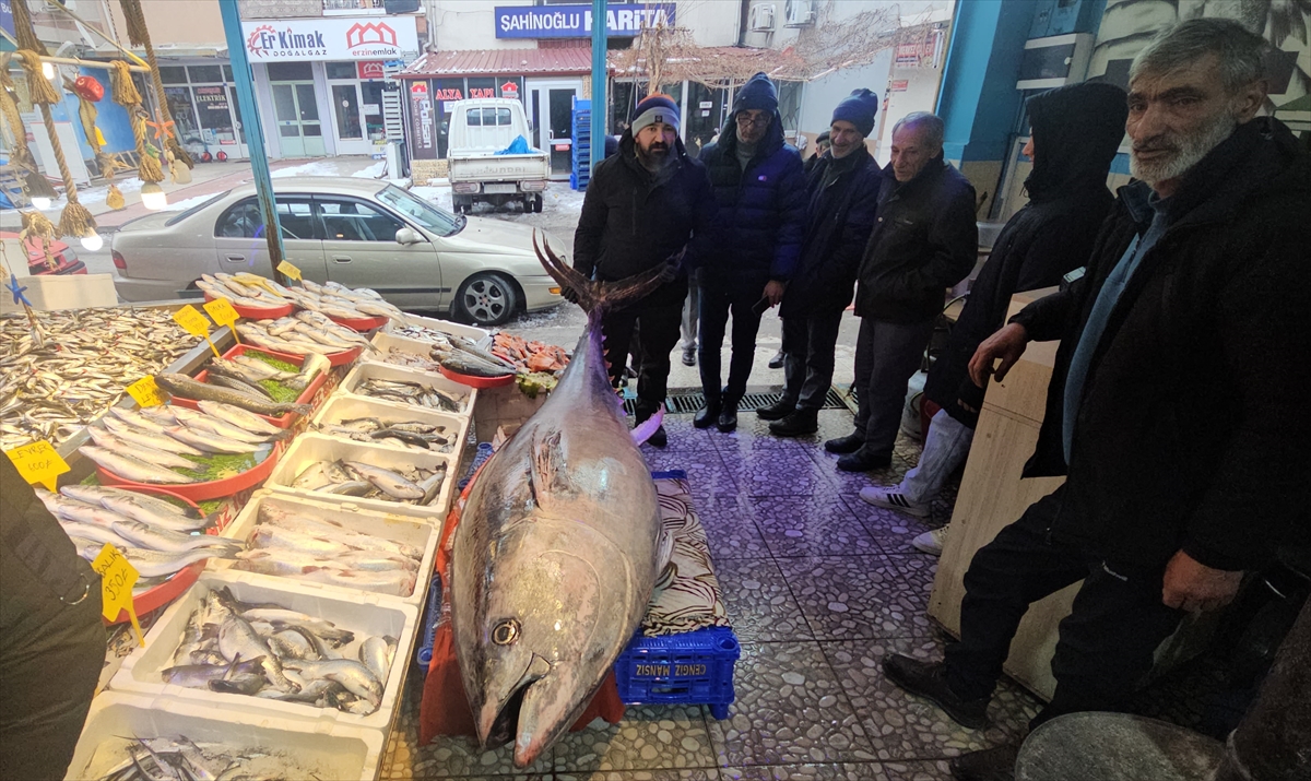 A A 20251231 40122143 40122141 A T L A N T I K O K Y A N U S U N D A T U T U L A N 287 K I L O G R A M L I K O R K I N O S V A T A N D A S L A R I N I L G I O D A G I O L D U