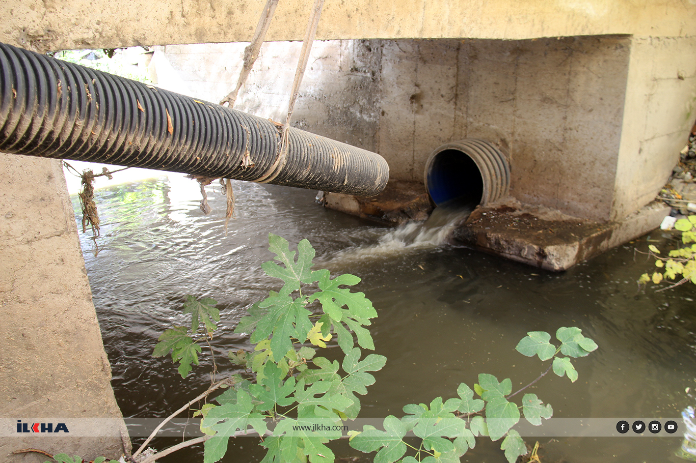 Cb53Ada1 F950 4C2F Ae11 085B9Cbb5836