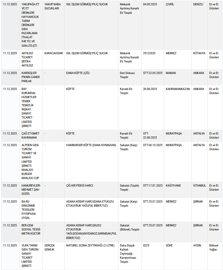 Ekran Görüntüsü 2025 12 13 142054