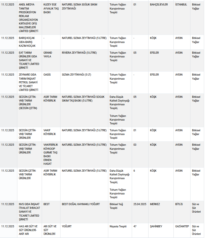 Ekran Görüntüsü 2025 12 13 142108