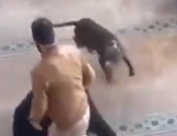 Ekran Görüntüsü 2025 12 20 090950